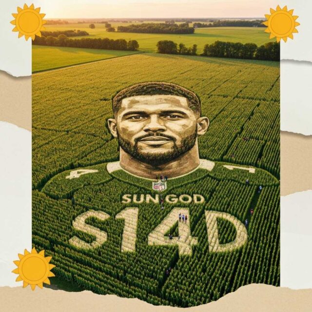 El receptor Amon-Ra St. Brown ahora es un laberinto de maíz gigante en Michigan