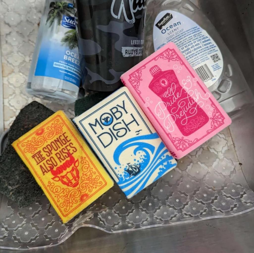 Esponjas en forma de libro