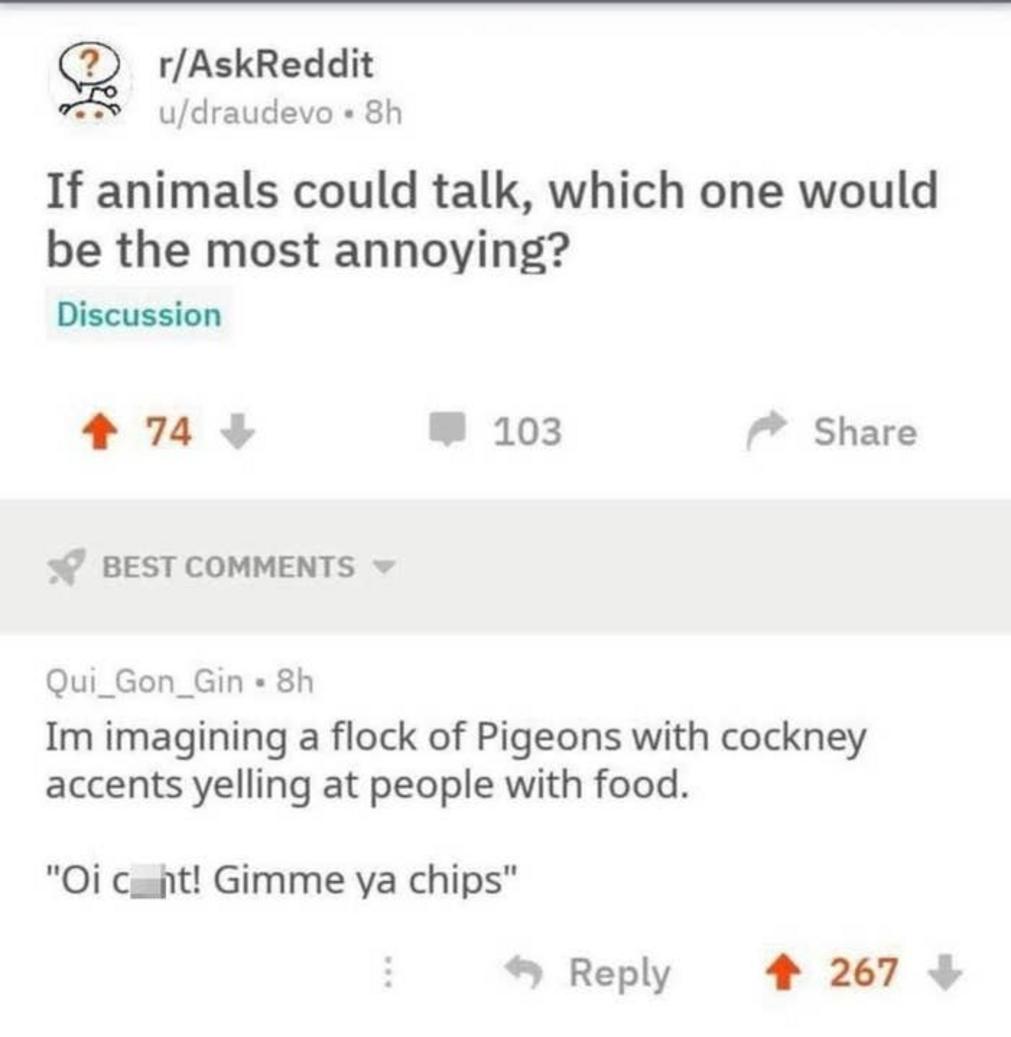 Conversación sobre palomas hablando