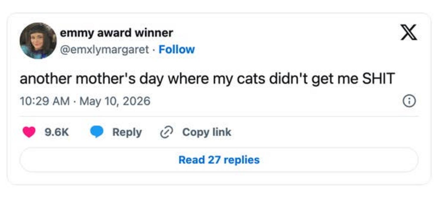 Decepción de una madre de gatos