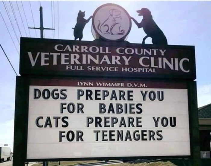 Cartel que dice que los perros te preparan para los bebés y los gatos para los adolescentes