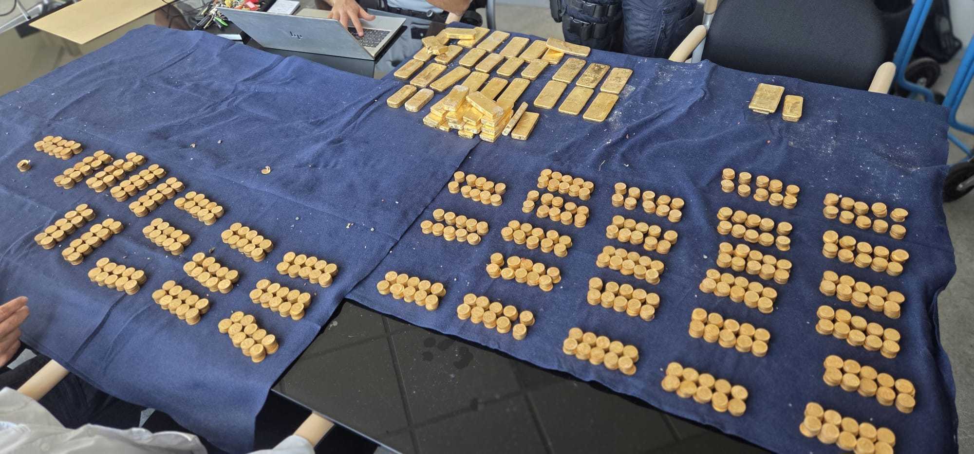 El tesoro completo extendido sobre mantas azules: filas de lingotes de oro y cientos de monedas apiladas en columnas
