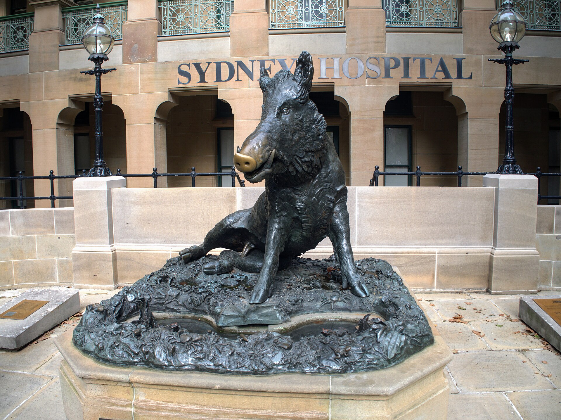 Il Porcellino, jabalí de bronce con el hocico dorado por el roce, ante la fachada del Sydney Hospital en Sídney